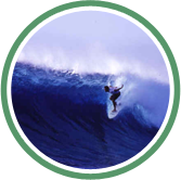Surfer